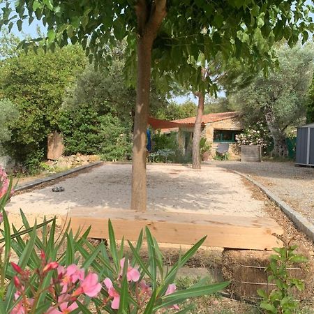 Cabanon Villa Sanary-sur-Mer Dış mekan fotoğraf
