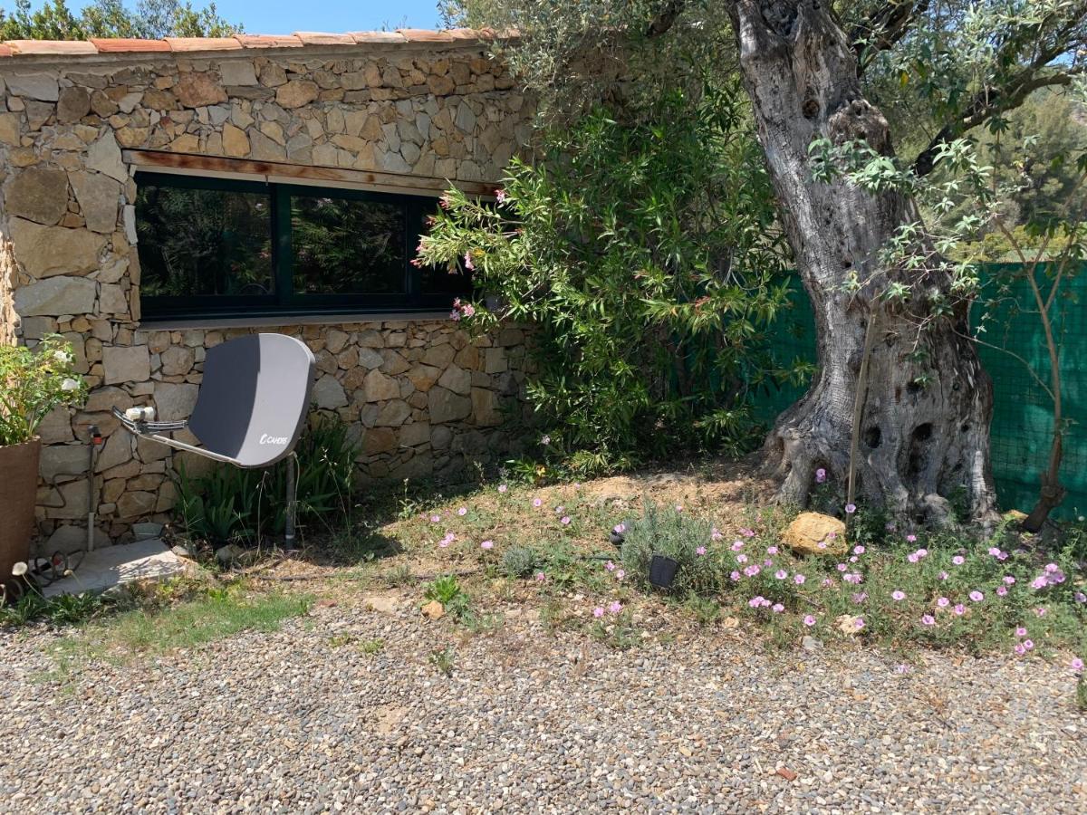 Cabanon Villa Sanary-sur-Mer Dış mekan fotoğraf