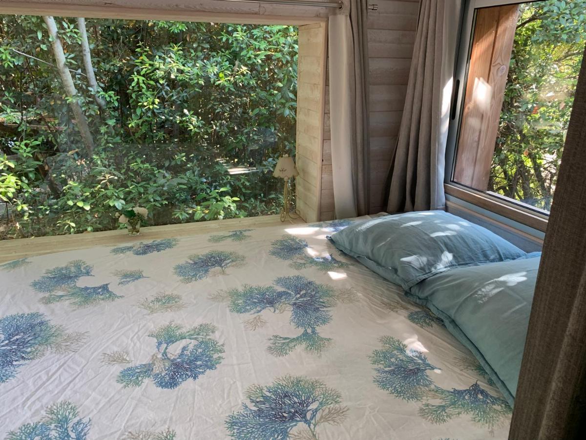 Cabanon Villa Sanary-sur-Mer Dış mekan fotoğraf